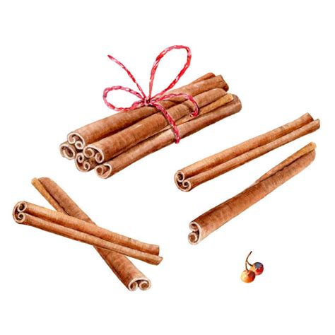 27,100+ Cinnamon Sticks Stock Illustrations, Royalty-Free Vector ...