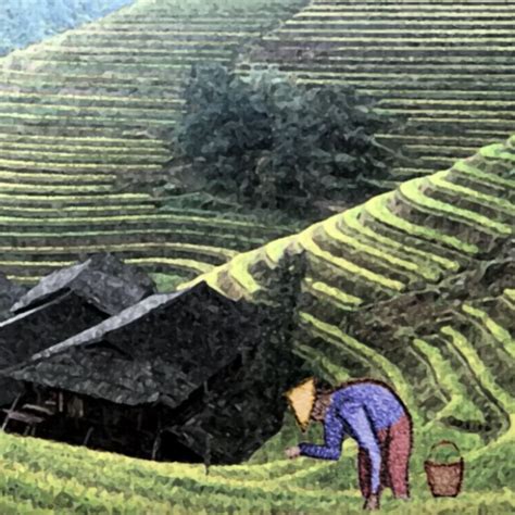 The Story of the Chinese Farmer - Grateful.org