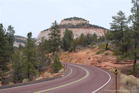 Zion-Mount Carmel Highway Scenic Drive | The Whole World Is A Playground