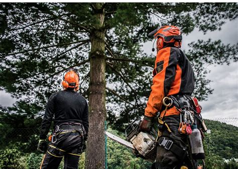 Understanding the Responsibilities of an ISA Certified Arborist | by ...