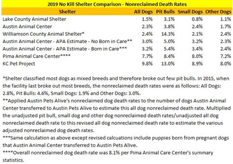 Ranking the Nation’s Top No Kill Shelters | NJ Animal Observer