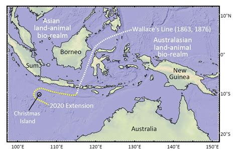 Map of Life Will Need to Be Redrawn and Textbooks Updated After Highly Surprising Discovery on ...