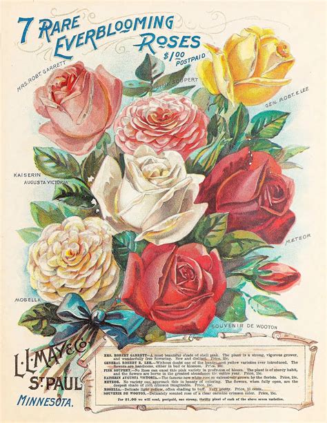 Remodelaholic | 25 Free Printable Vintage Floral Images