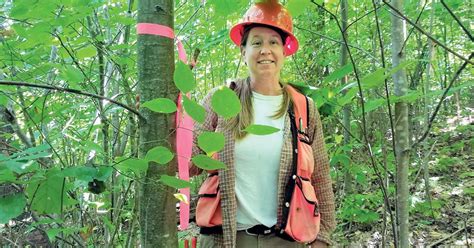 Staging a comeback; Local scientists work to restore American chestnut ...