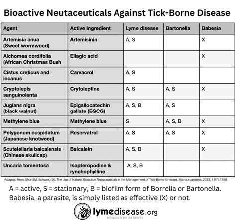 LYME SCI: A closer look at Rickettsia tick-borne disease.