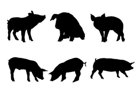 Premium Vector | Set of silhouettes of farm pigs vector design