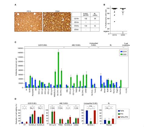 CD19 and CD20 antigen expression levels and impact of tafasitamab,... | Download Scientific Diagram