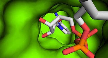 Biocatalysis | Chemical biology | University of Leicester