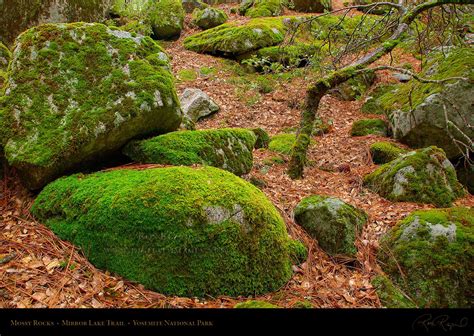 mossy rocks on Mirror Lake Trail | Rock garden, Trees to plant, Landscaping with rocks