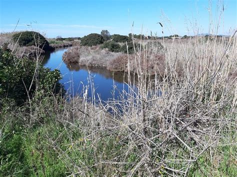 Laguna di Orbetello (Albinia) - 2020 All You Need to Know BEFORE You Go (with Photos) - Tripadvisor