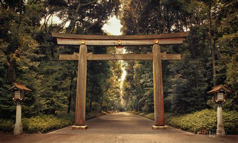 Meiji Shrine Torii by Pajunen on DeviantArt