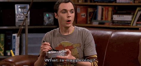 What Is Happening Sheldon Cooper GIF - Find & Share on GIPHY