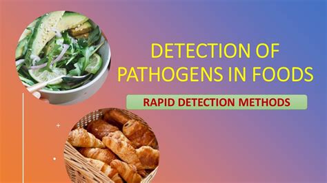 DETECTION OF PATHOGENS IN FOOD - RAPID DETECTION METHODS - PART -2 - FOOD MICROBIOLOGY - YouTube