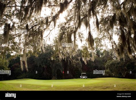 Golf course - Jekyll Island, Georgia USA Stock Photo - Alamy