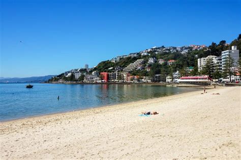 11 Fabulous Wellington Waterfront Things to Do Now