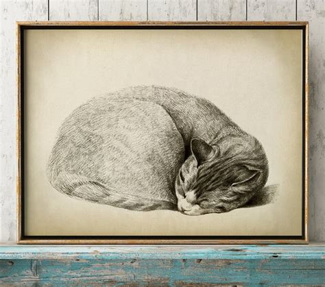 Cat Art Print, Relaxing Sleeping Cat, Pencil Drawing of a Cat, Antique ...