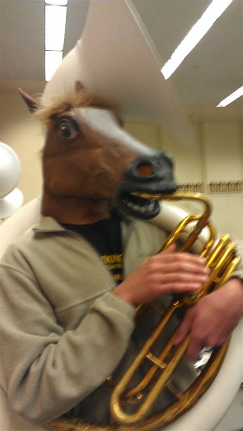 I play the sousaphone in marching band. I wore this during the most recent game. : r/HorseMask