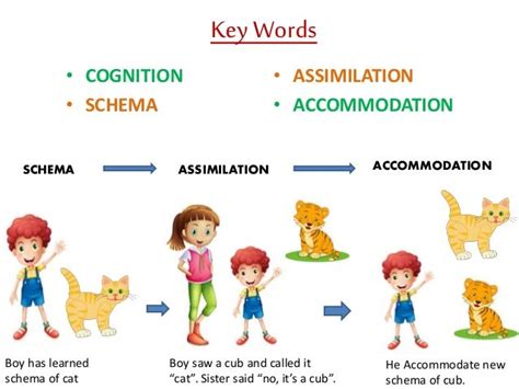 😍 Assimilation according to piaget. What is the Difference Between Assimilation and ...