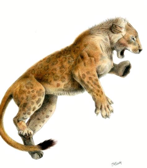 Panthera (leo) fossilis - Mosbach cave lion by Jagroar on DeviantArt