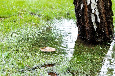 What Is A Dry Well? A DIY Drainage System