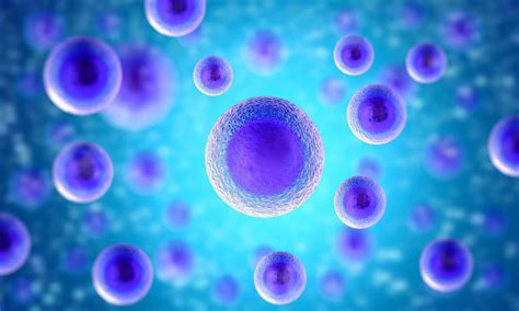 Single-Cell Analysis: All cells are created equal, but are they?