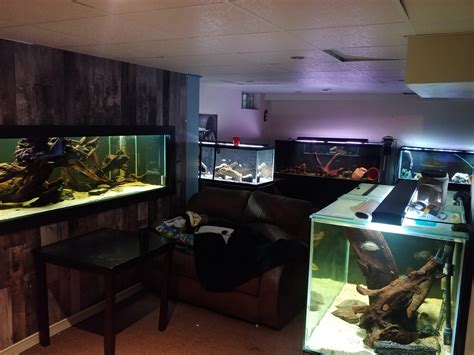 The fish room : Aquariums