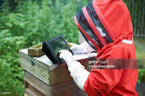 Beekeeper Standing Beside Hive Using Digital Tablet High-Res Stock ...