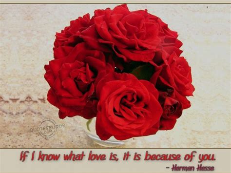 Red Roses And Friendship Quotes. QuotesGram