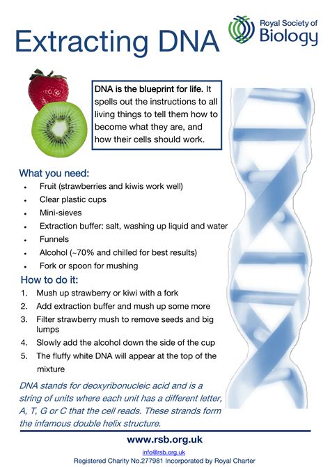 Biology Posters | Poster Template