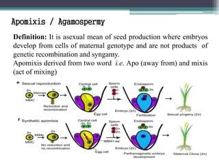 Apomixis | PPT