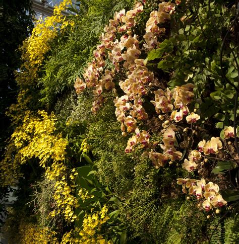 Imagining the Green Wall - Plant Talk