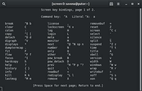 Screen Command - Beginners Guide to Terminal Multiplexing - Putorius