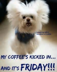 My Coffee Kicked In...And It's Friday!!! Pictures, Photos, and Images for Facebook, Tumblr ...