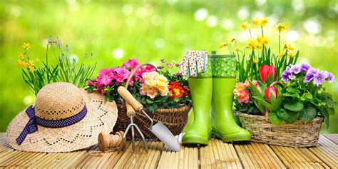 11 DIY Gardening Tips for All Seasons | Price Self Storage