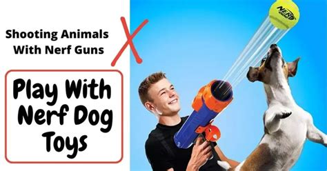 Is it Safe to Shoot Animals With Nerf Guns? [Play with Pets]