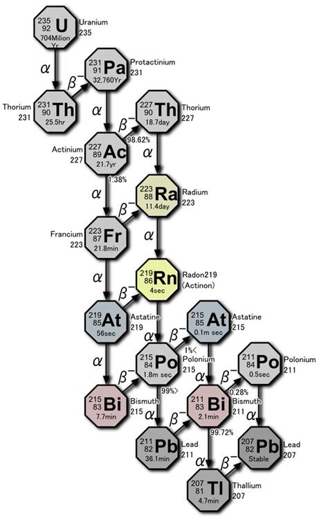 How many atoms of uranium will be left after the second decay? - Quora