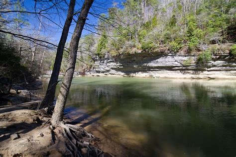 Hikes in Bankhead National Forest (AL) - Trailhead Traveler