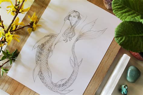 Pencil Drawings Of Mermaids