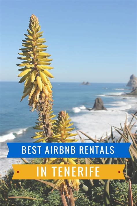 Top 10 Best Airbnb Rentals In Tenerife