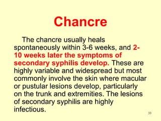 Spirochetes Symptoms