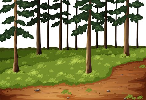 Clipart Forest Forest School Clipart Forest Forest School Transparent | Images and Photos finder