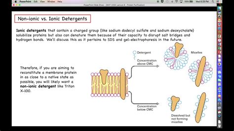 Proteomics - Principles of Protein Purification - Detergents and Chaotropic Agents - YouTube