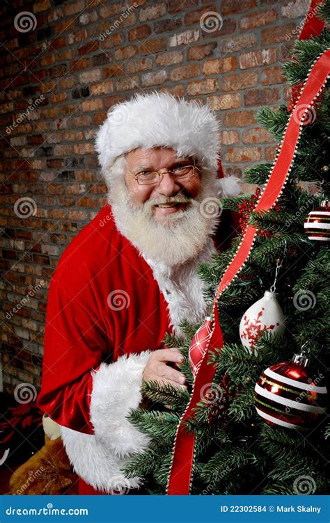 Santa Claus Behind the Christmas Tree Stock Photo - Image of holiday, imagination: 22302584