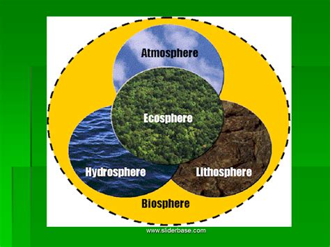 Ecology - Presentation Ecology