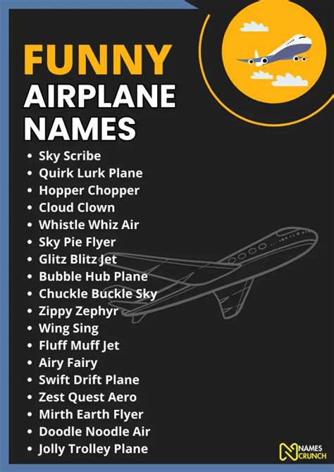 200+ Funny Airplane Name Ideas From The Sky! - Names Crunch