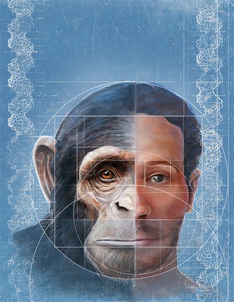 Scientists home in on origin of human, chimpanzee facial differences ...