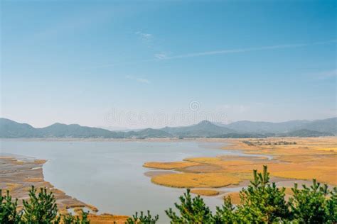 Suncheon wetland sunset stock image. Image of silver - 98365331