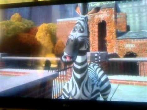 Madagaskar Marty's birthday wish - YouTube