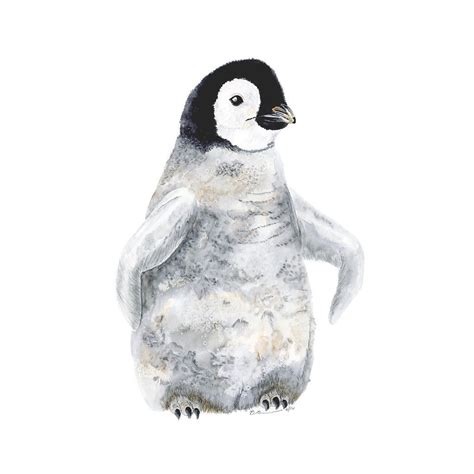 Baby Penguin Watercolor Portrait | Penguin watercolor, Baby animal nursery art, Nursery animal ...