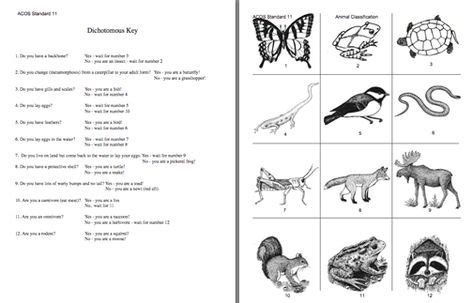 Here's a dichotomous key activity on animals. | Dichotomous key, Teaching science, Science education